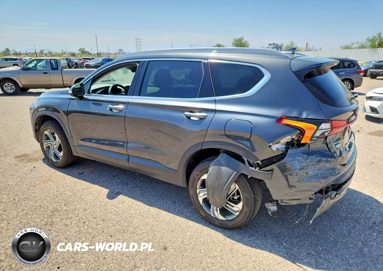 2023 Hyundai Santa Fe Sel VIN:5NMS2DAJ1PH546060 - 2
