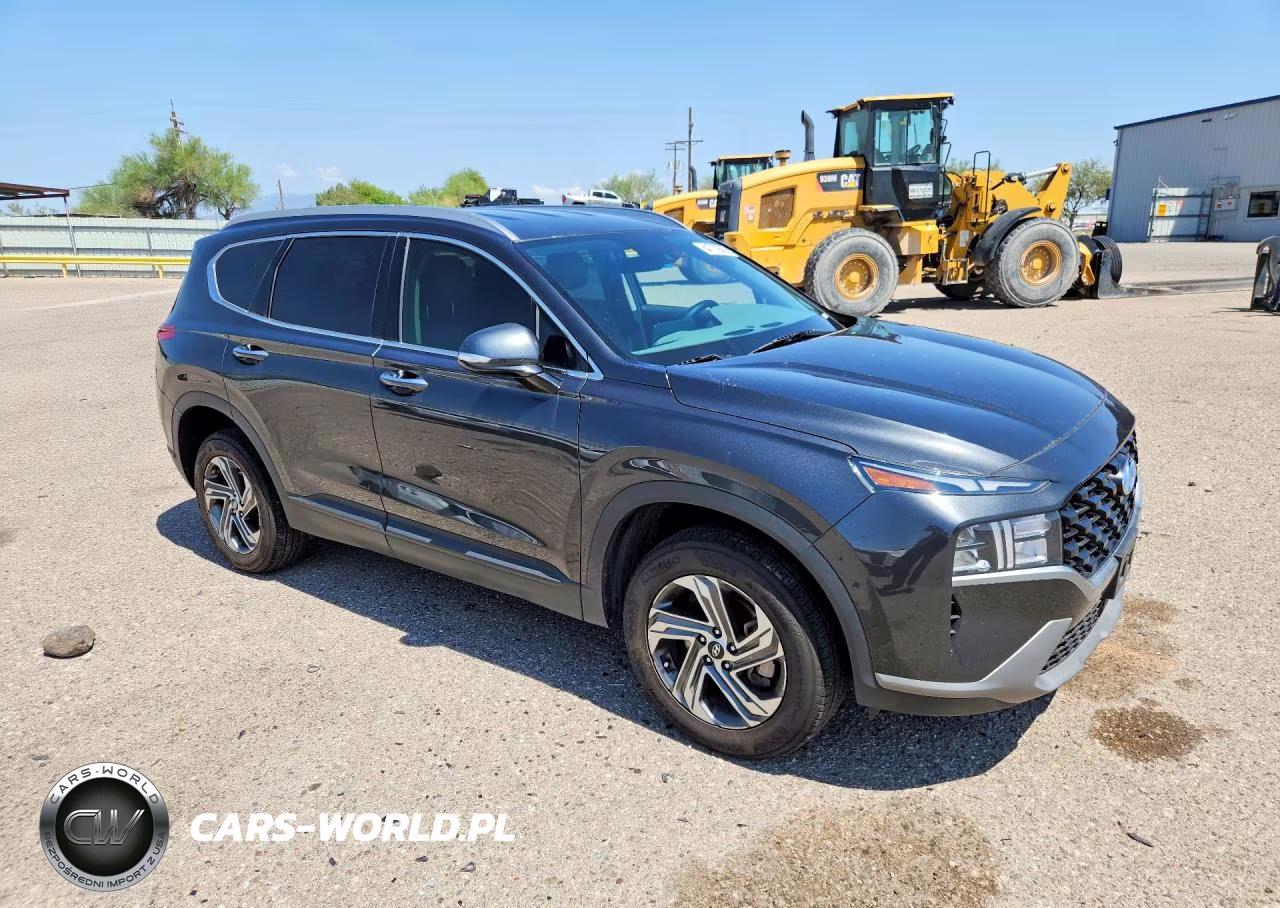2023 Hyundai Santa Fe Sel VIN:5NMS2DAJ1PH546060 - 4