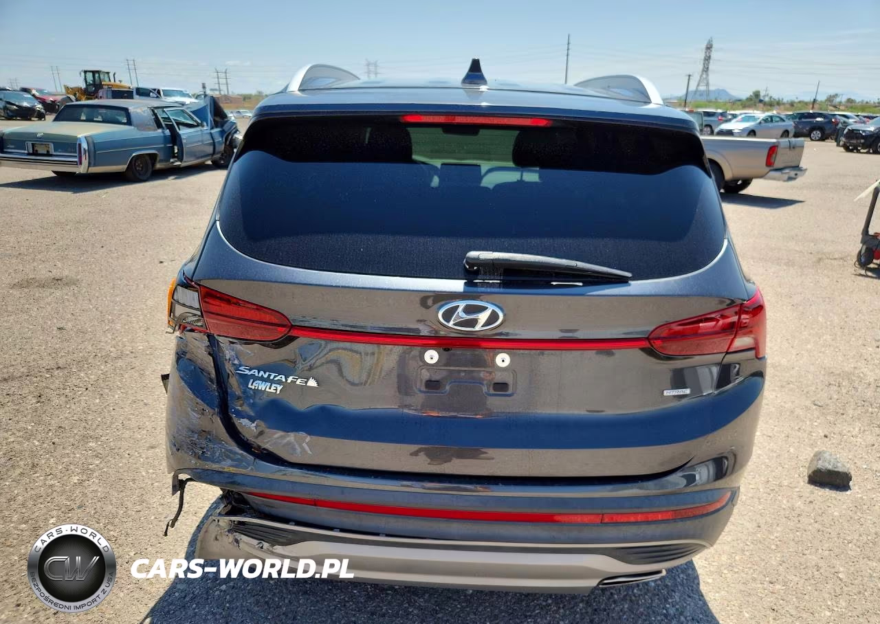 2023 Hyundai Santa Fe Sel VIN:5NMS2DAJ1PH546060 - 6