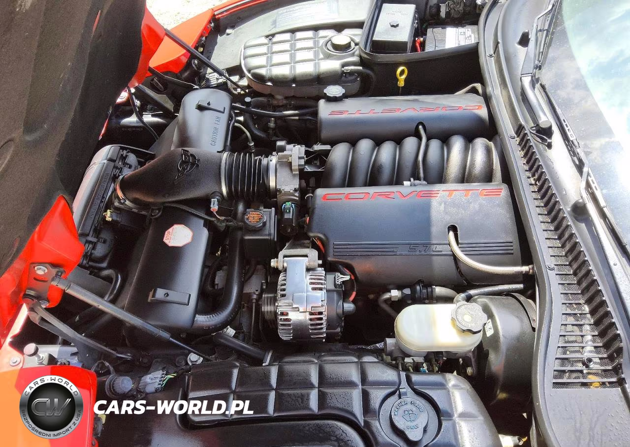 1999 Chevrolet Corvette VIN:1G1YY32G1X5100220 - 11