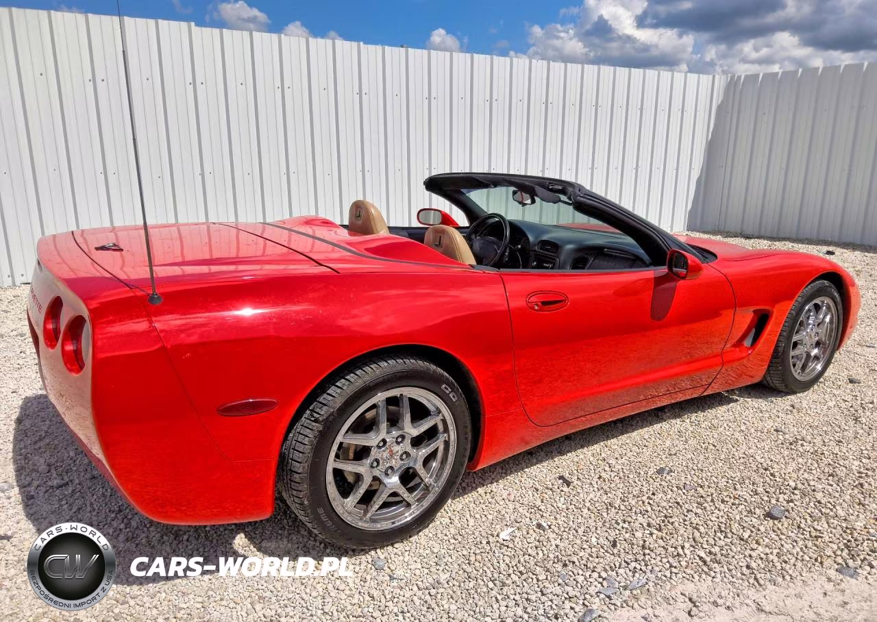 1999 Chevrolet Corvette VIN:1G1YY32G1X5100220 - 3