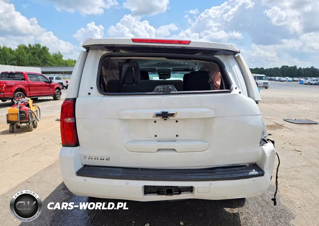 2019 Chevrolet Tahoe K1500 Ls VIN:1GNSKAKC7KR299086 - 6