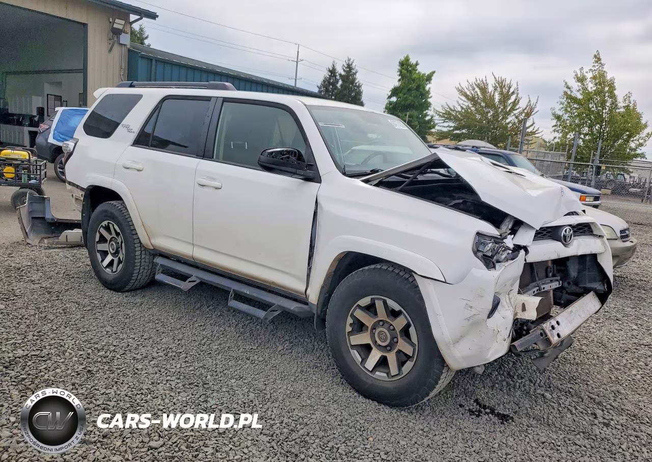 2019 Toyota 4Runner Trd Off-Road VIN:JTEBU5JR5K5629648 - 4