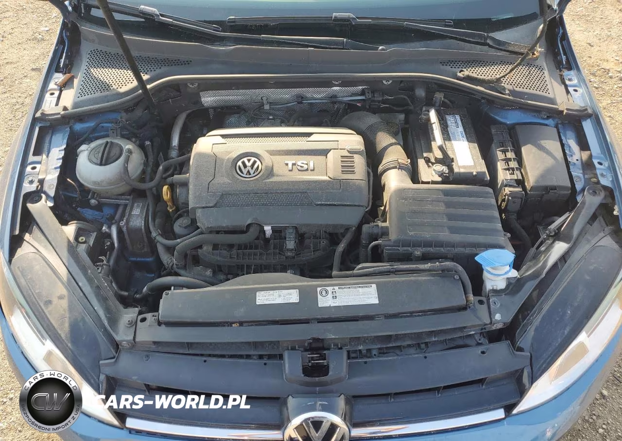 2017 Volkswagen Golf Sportwagen S VIN:3VW017AU8HM508052 - 11