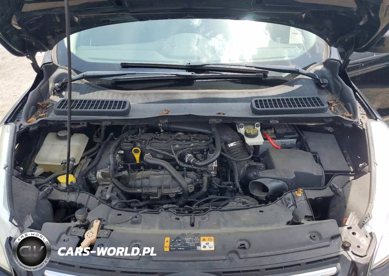 2013 Ford Escape Se VIN:1FMCU0GX2DUB25631 - 12