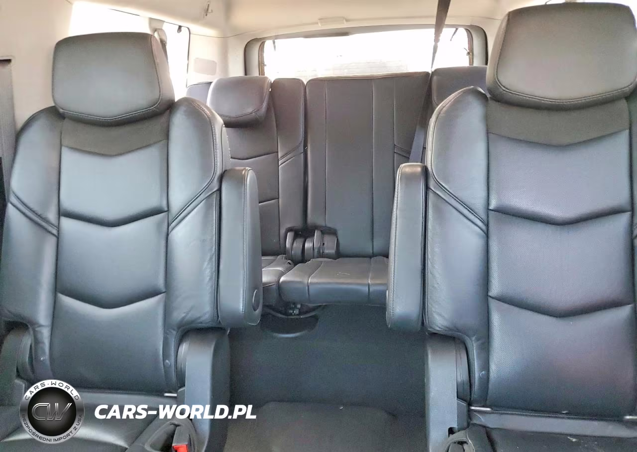 2019 Cadillac Escalade Esv VIN:1GYS3GKJ1KR191080 - 10