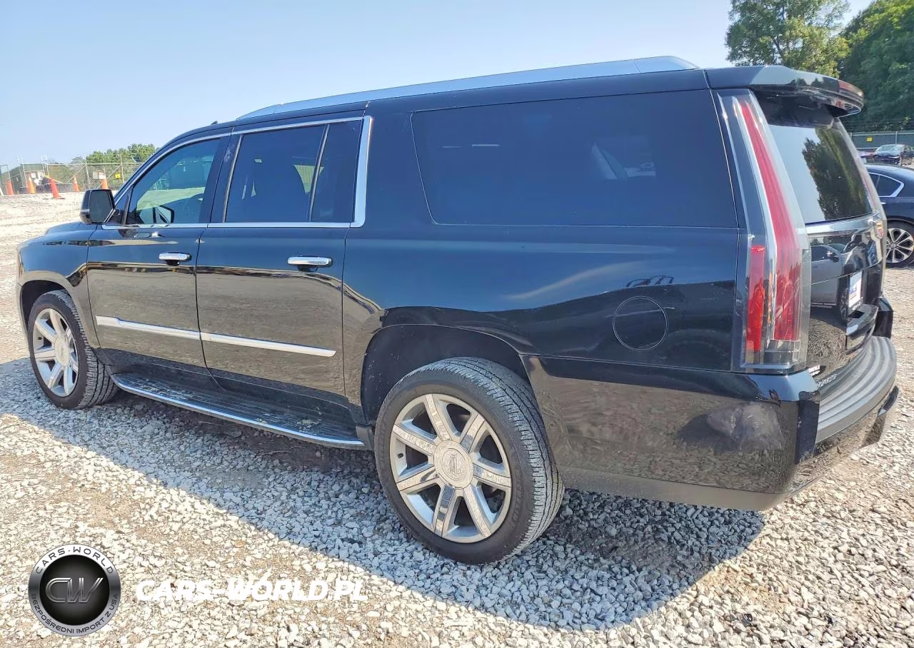 2019 Cadillac Escalade Esv VIN:1GYS3GKJ1KR191080 - 2