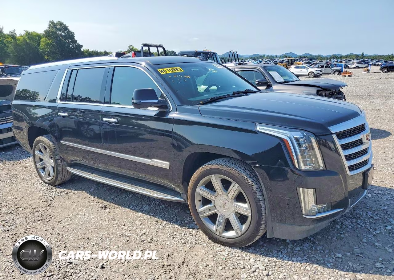 2019 Cadillac Escalade Esv VIN:1GYS3GKJ1KR191080 - 4