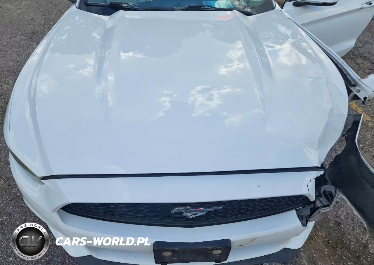 2015 Ford Mustang VIN:1FA6P8TH1F5344878 - 11