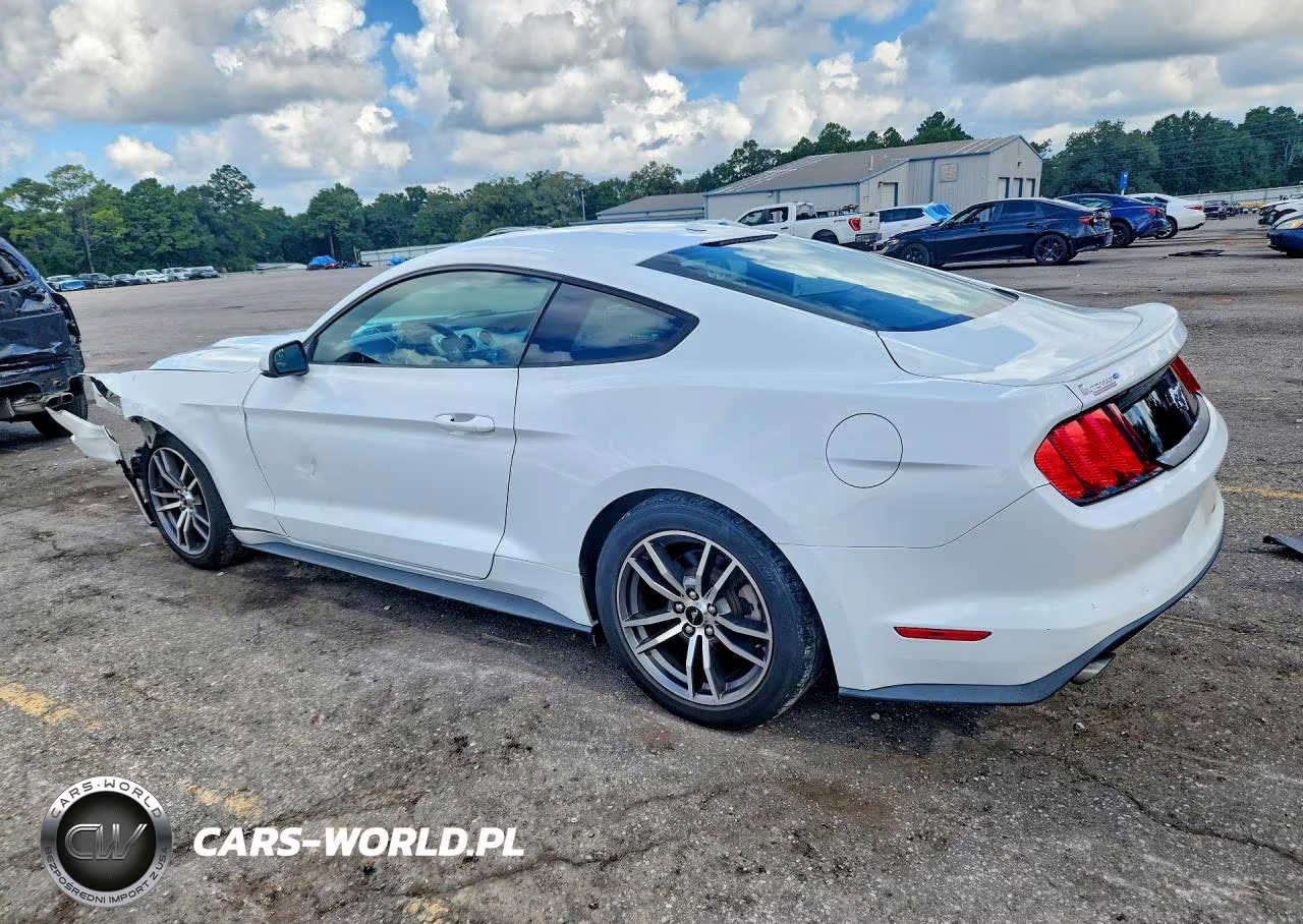 2015 Ford Mustang VIN:1FA6P8TH1F5344878 - 2
