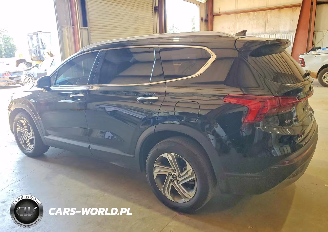 2023 Hyundai Santa Fe Sel VIN:5NMS24AJ4PH501131 - 2