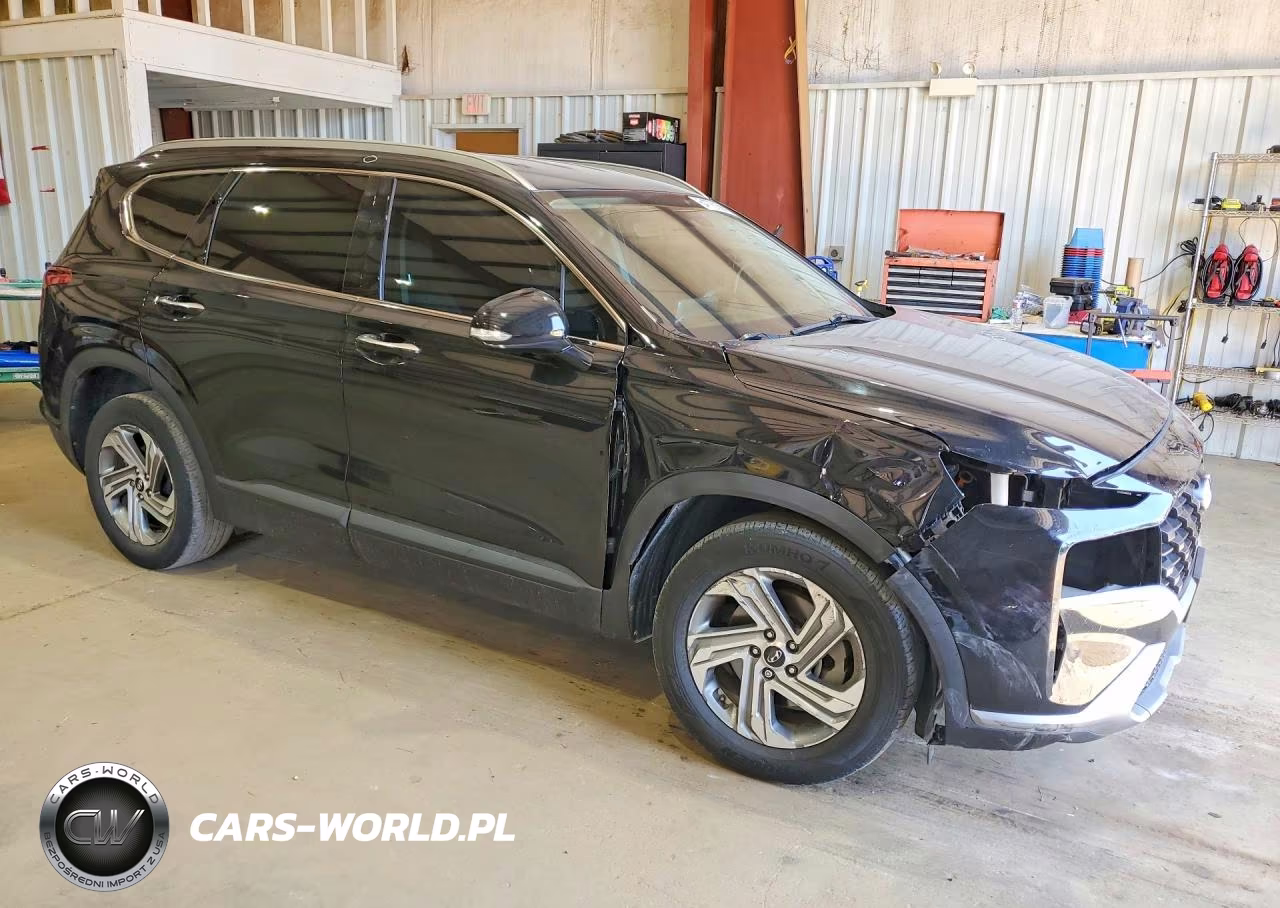 2023 Hyundai Santa Fe Sel VIN:5NMS24AJ4PH501131 - 4