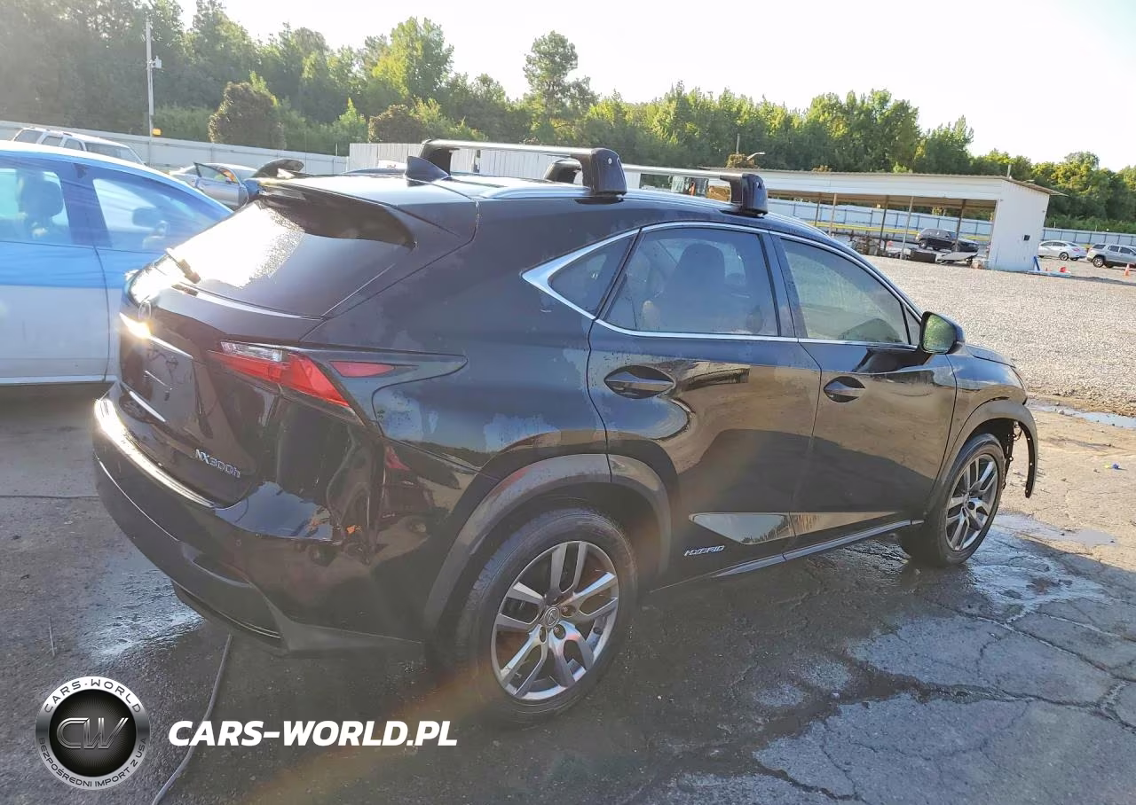 2016 Lexus Nx 300H VIN:JTJBJRBZ9G2032009 - 3
