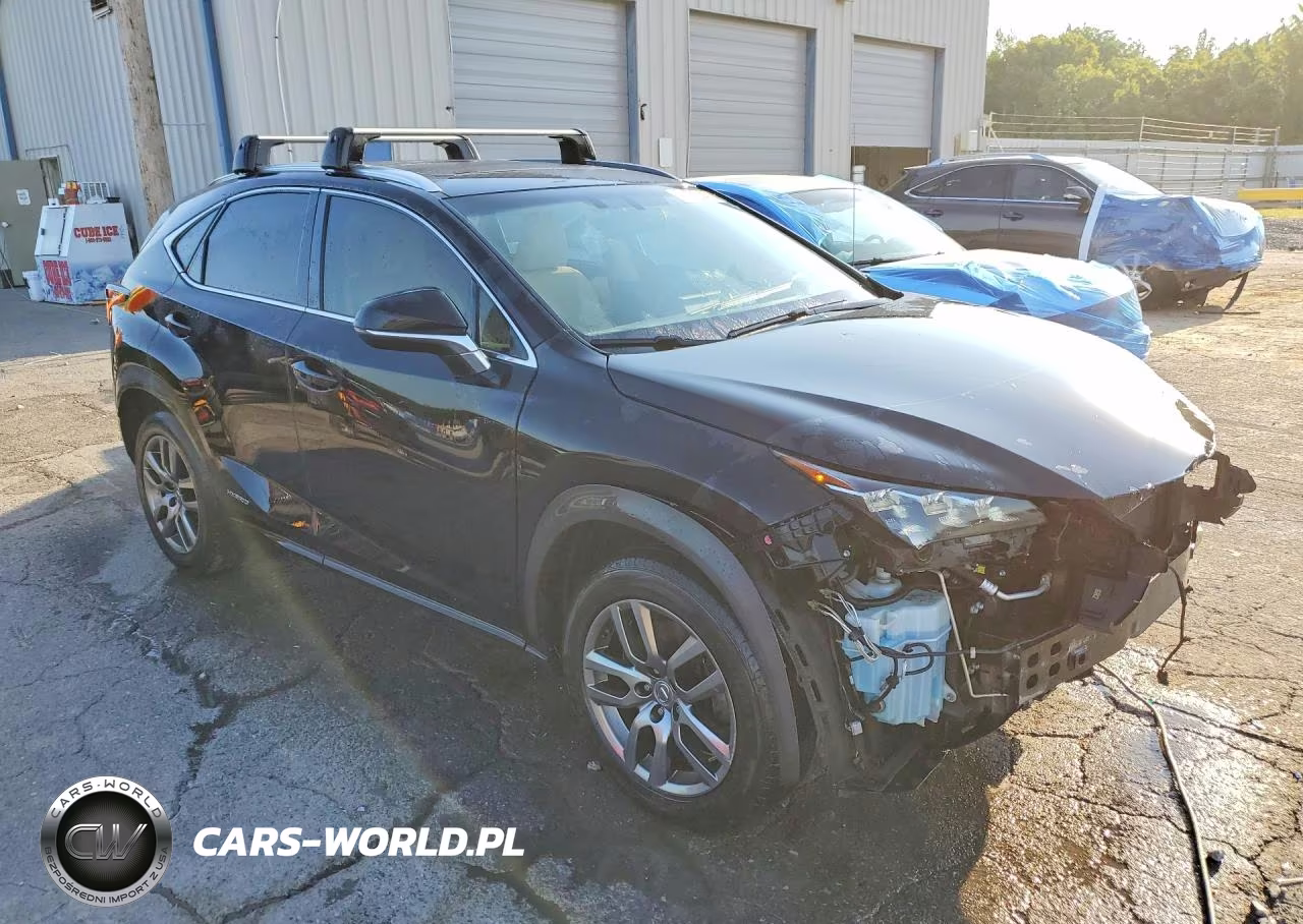 2016 Lexus Nx 300H VIN:JTJBJRBZ9G2032009 - 4