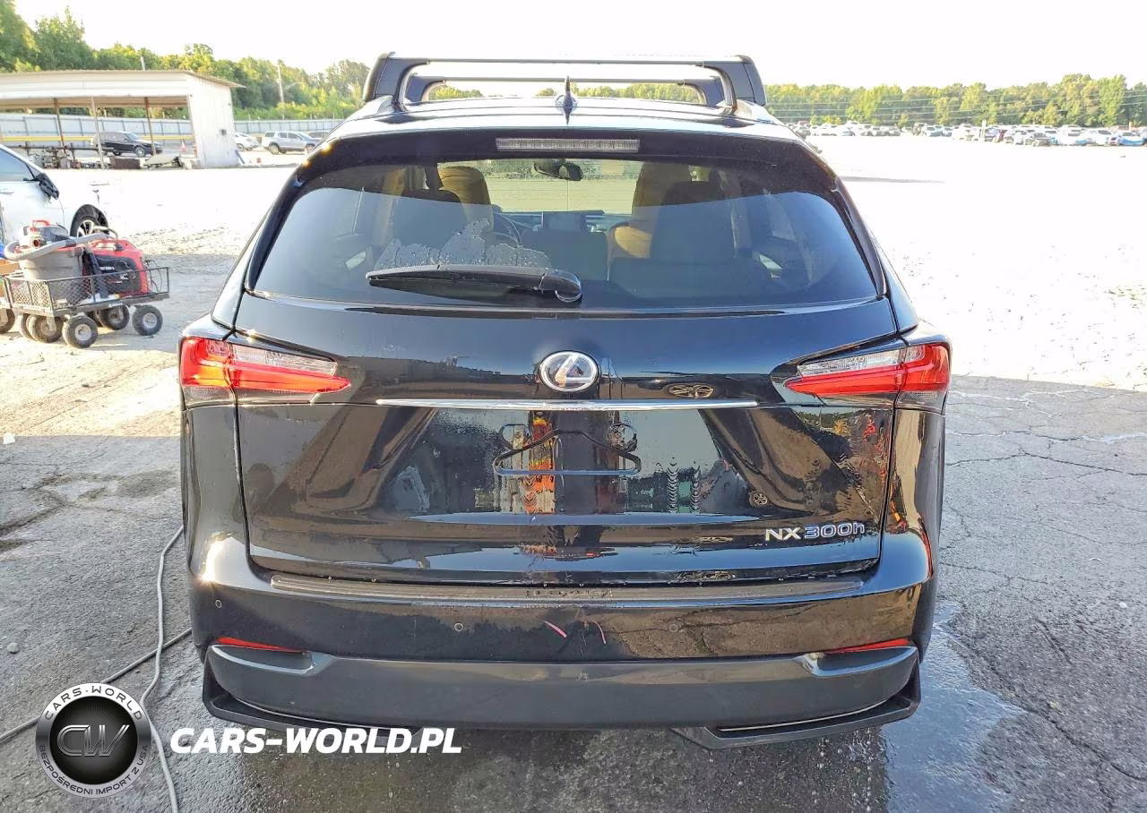 2016 Lexus Nx 300H VIN:JTJBJRBZ9G2032009 - 6