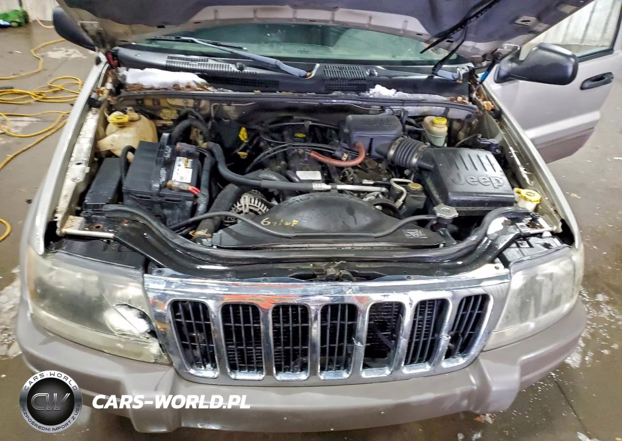 2003 Jeep Grand Cherokee Laredo VIN:1J4GW48S63C617393 - 12