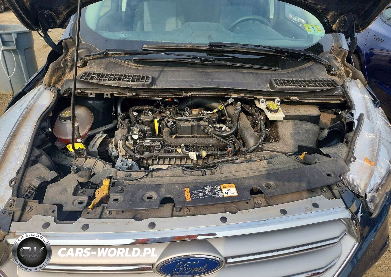 2019 Ford Escape Se VIN:1FMCU9GD3KUB73923 - 12