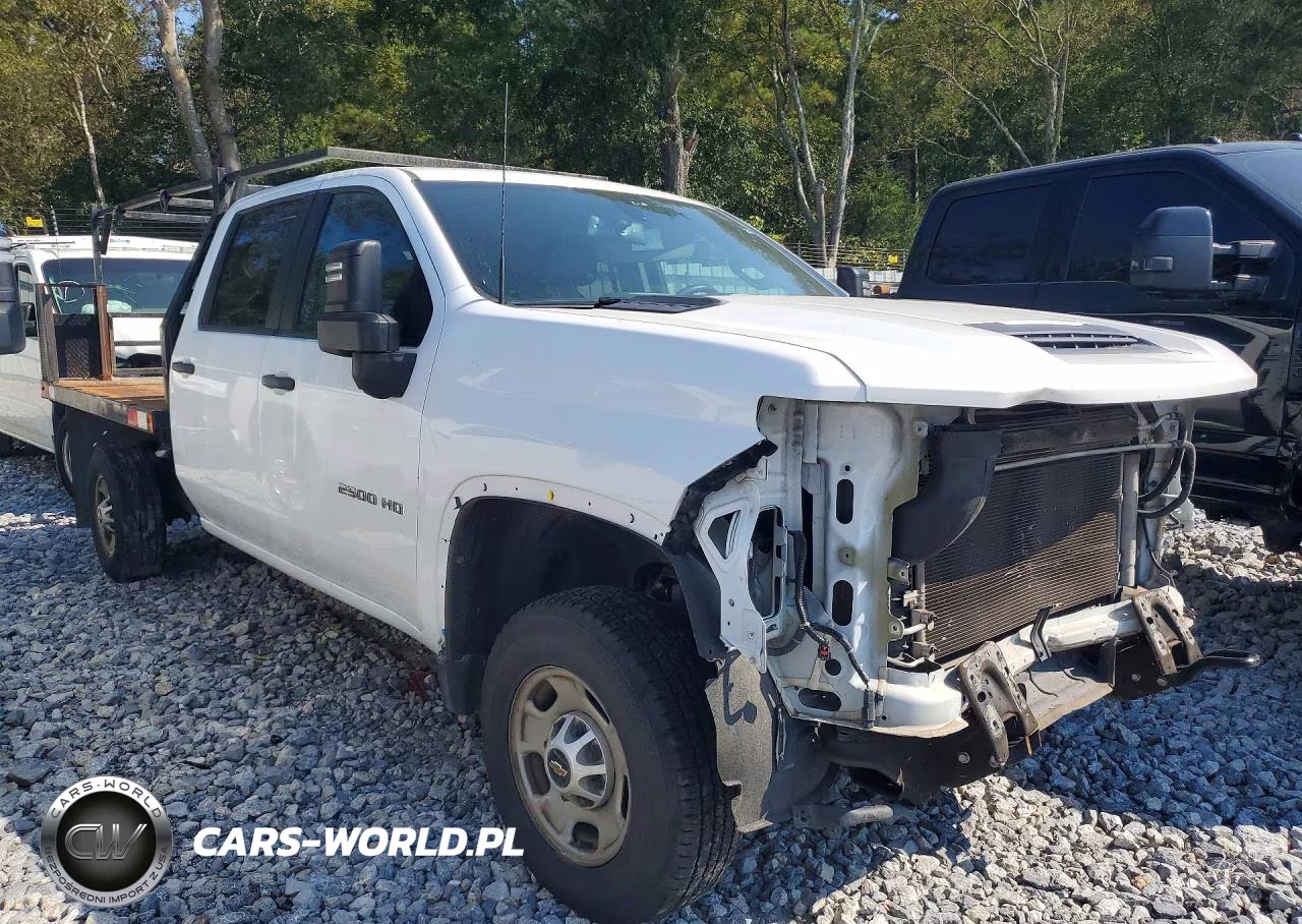 2023 Chevrolet Silverado K2500 Heavy Duty VIN:1GB4YLE75PF198085 - 4