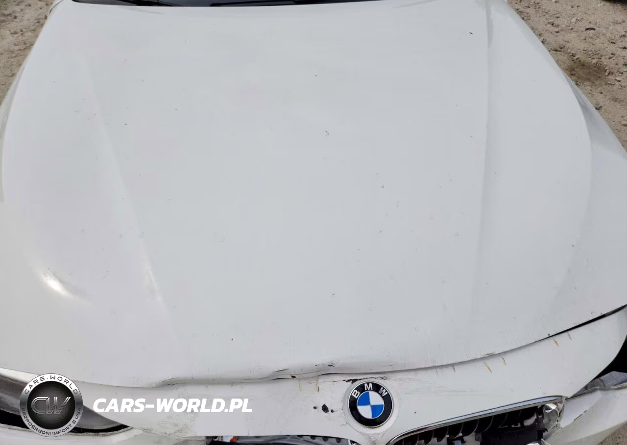2013 BMW 328 Xi Sulev VIN:WBA3B5C50DJ598924 - 11