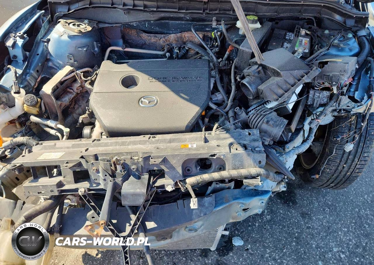 2010 Mazda 3 I VIN:JM1BL1SFXA1231006 - 11
