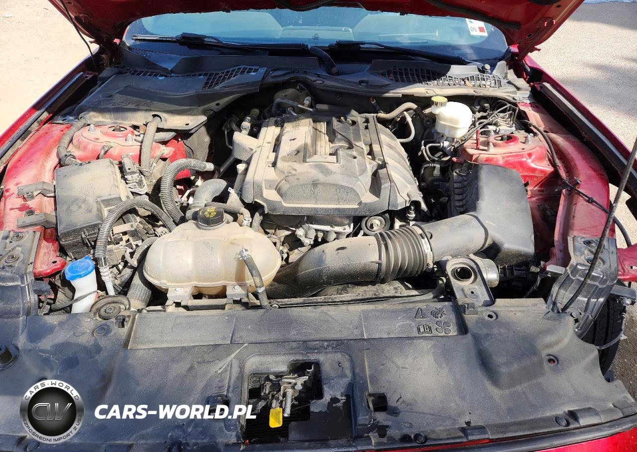 2020 Ford Mustang VIN:1FA6P8TH9L5123234 - 11