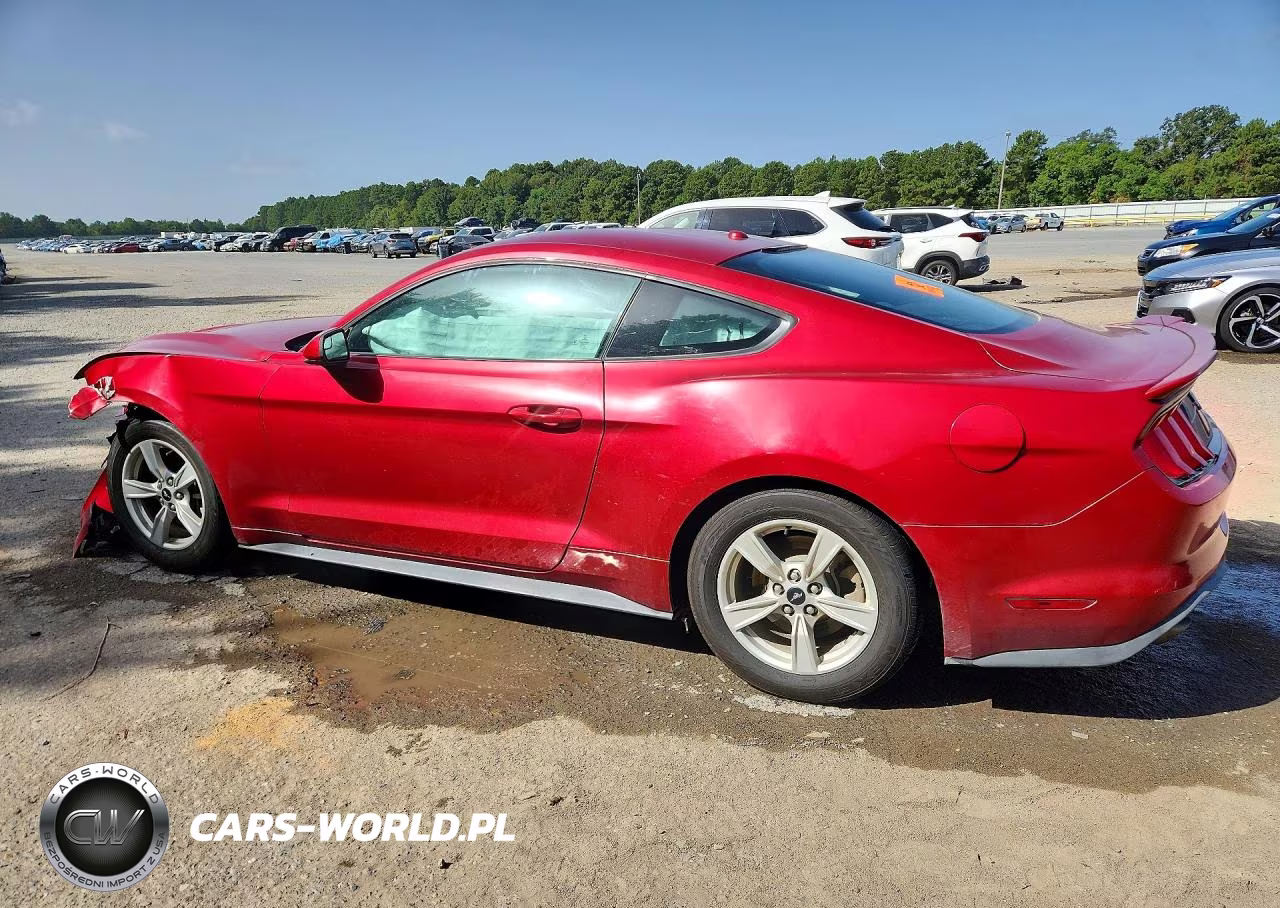 2020 Ford Mustang VIN:1FA6P8TH9L5123234 - 2