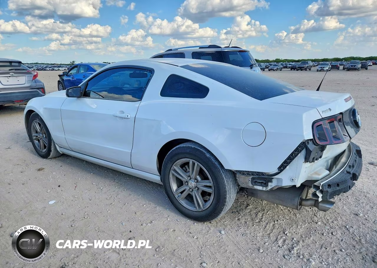 2014 Ford Mustang VIN:1ZVBP8AM1E5309715 - 2