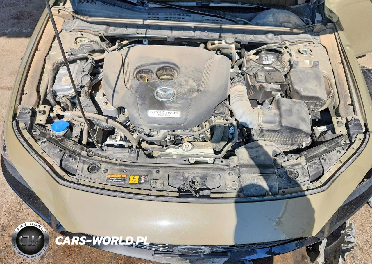2024 Mazda 3 Carbon Turbo VIN:3MZBPBXY2RM414612 - 11