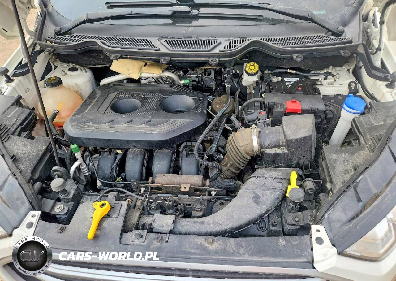 2018 Ford Ecosport Se VIN:MAJ6P1UL9JC182951 - 12