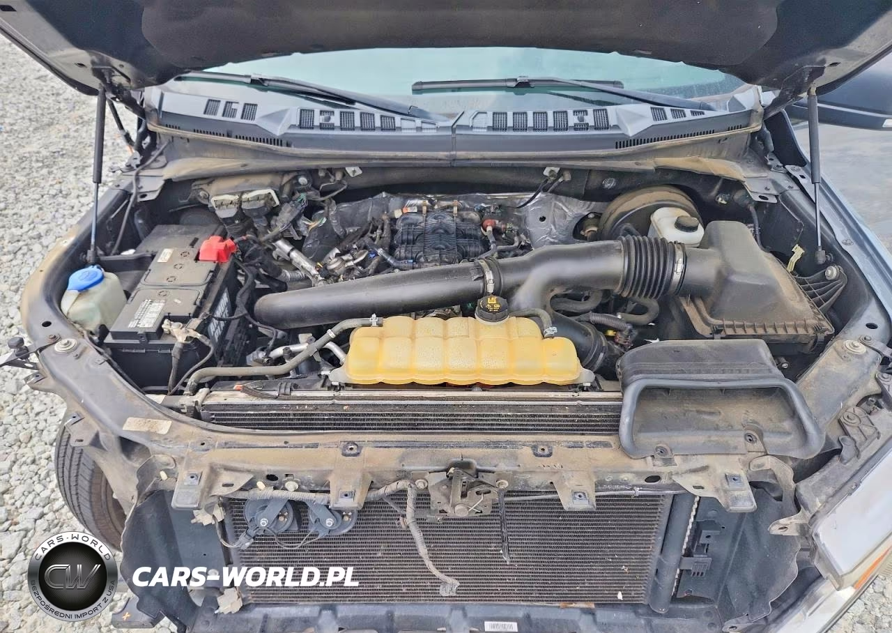 2019 Ford F150 Supercrew VIN:1FTEW1C43KKC31961 - 11
