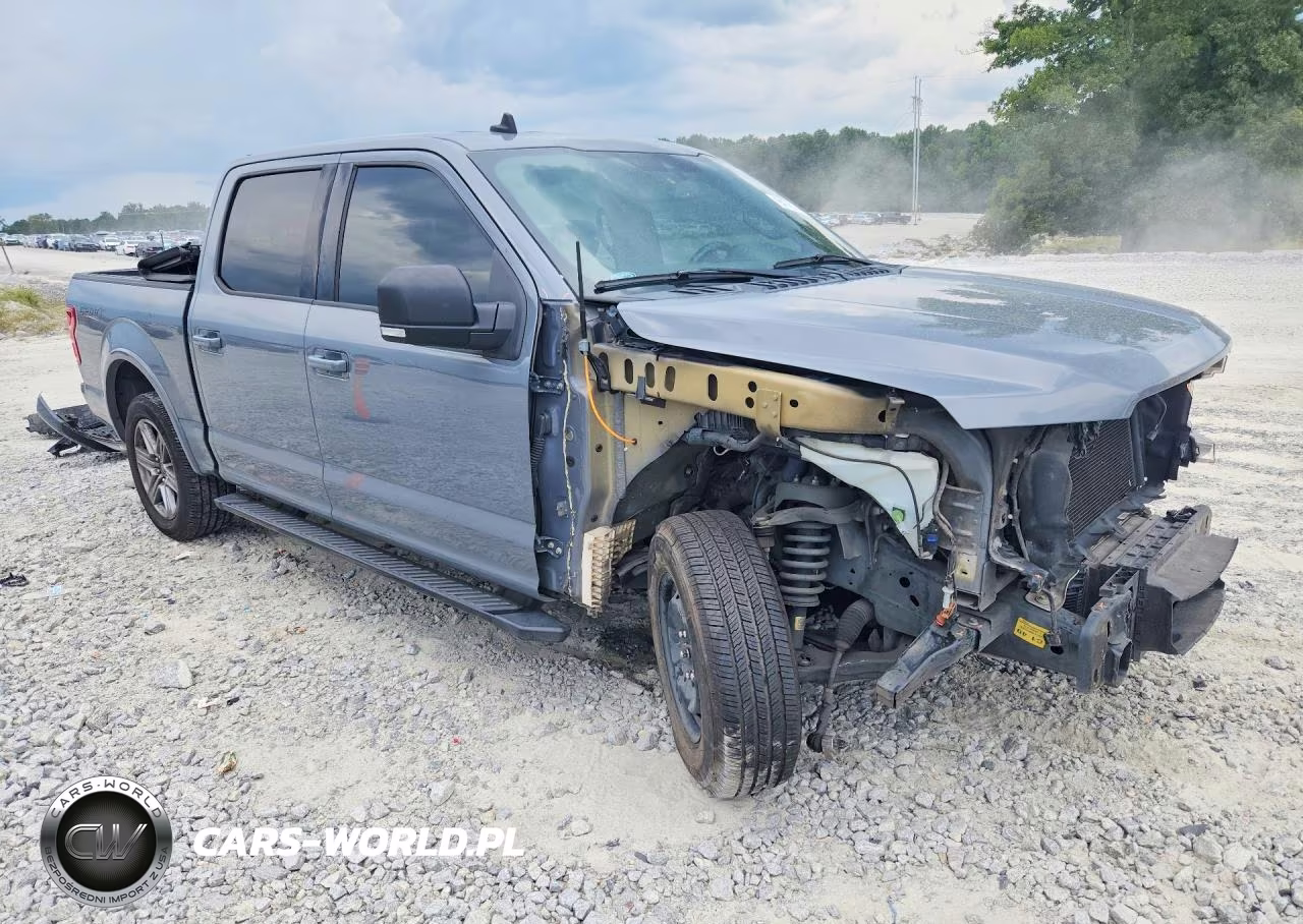 2019 Ford F150 Supercrew VIN:1FTEW1C43KKC31961 - 4