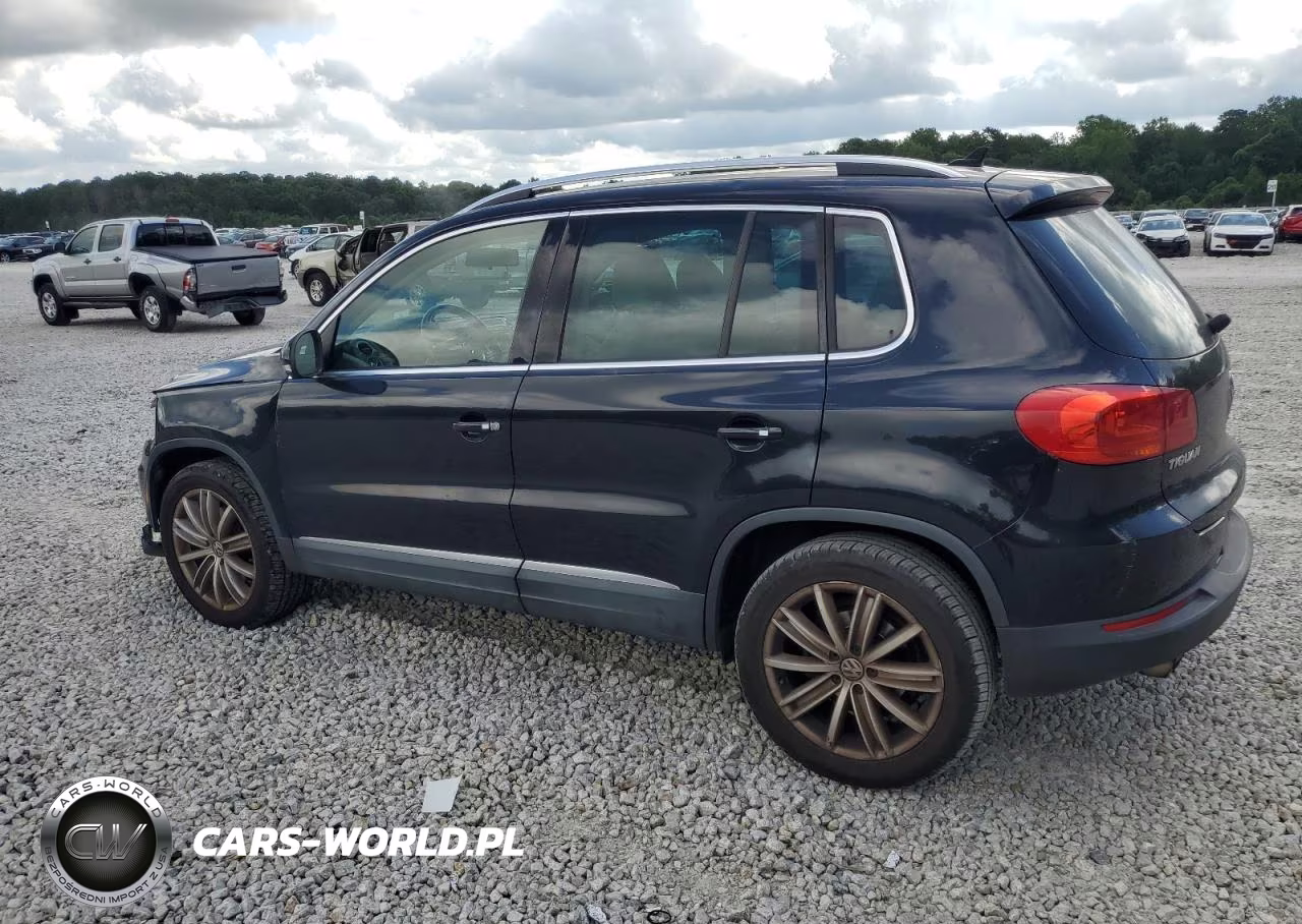2013 Volkswagen Tiguan S VIN:WVGAV3AX1DW611818 - 2