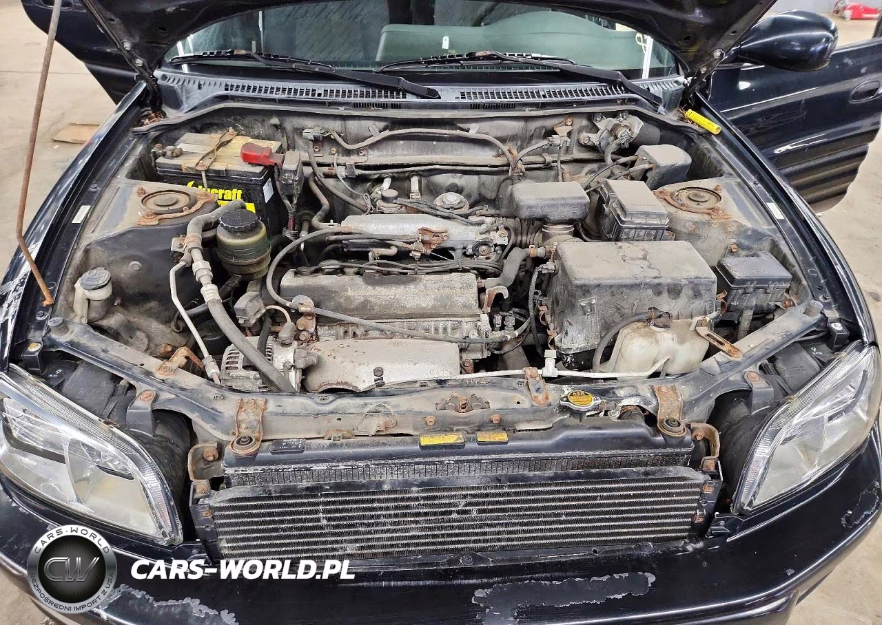 2000 Toyota Rav4 Base VIN:JT3HP10V5Y7151844 - 12
