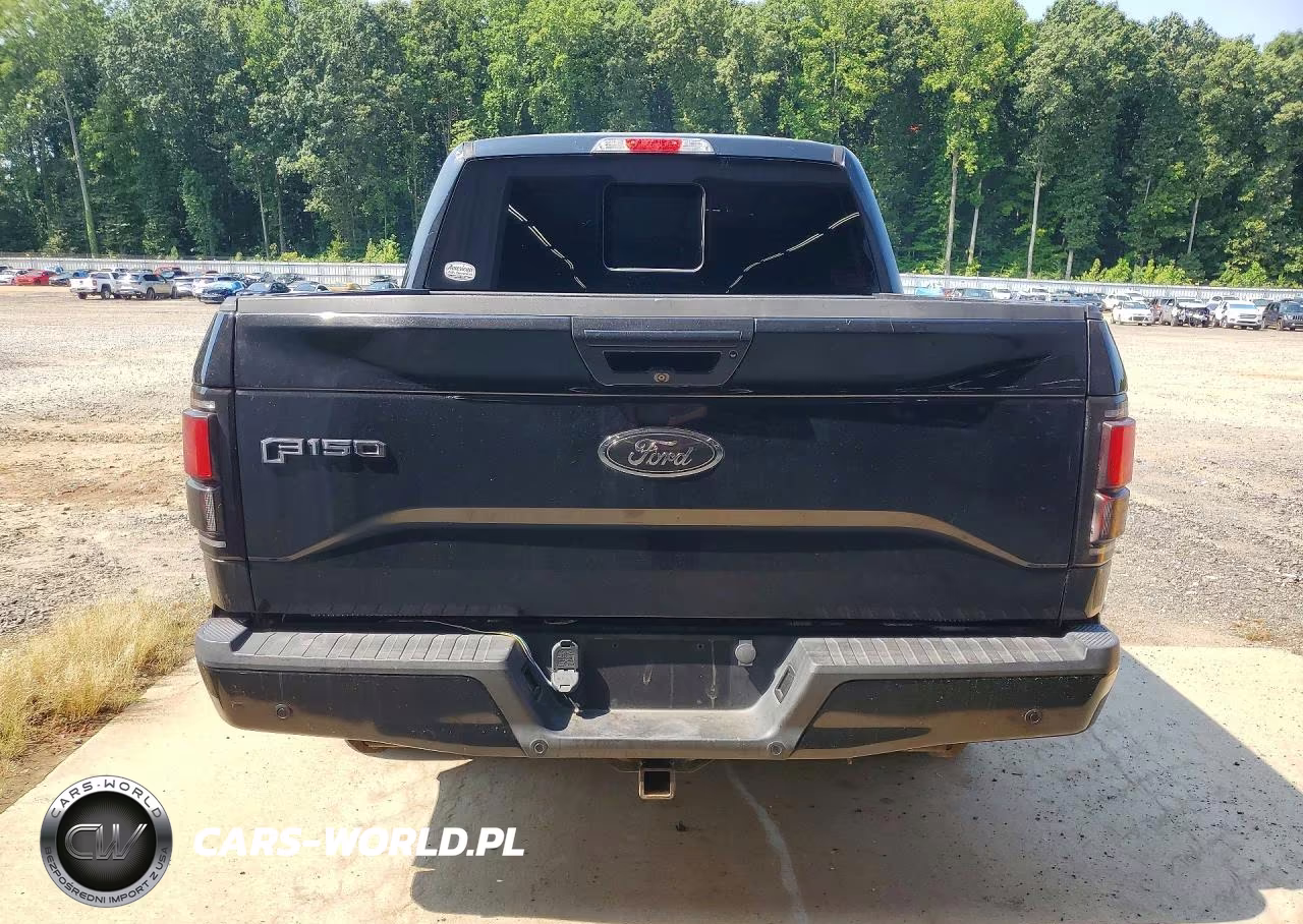 2015 Ford F150 Supercrew VIN:1FTEW1EG0FFB76729 - 6