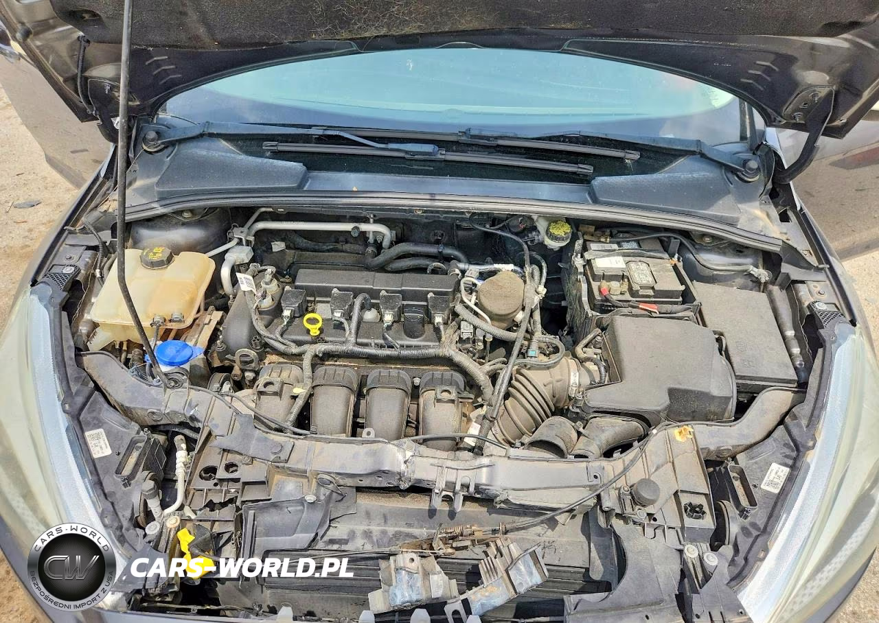 2015 Ford Focus Se VIN:1FADP3K24FL208134 - 12