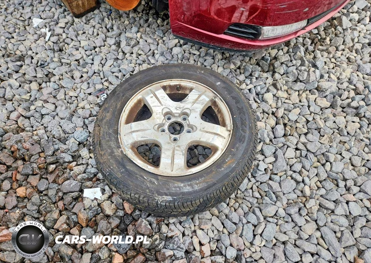 2004 Chevrolet Malibu Maxx Lt VIN:1G1ZU64834F203202 - 12