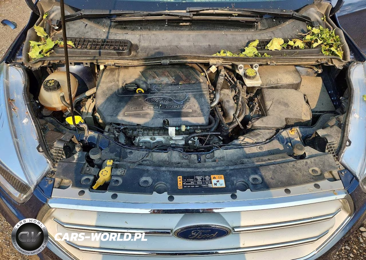 2018 Ford Escape Se VIN:1FMCU9GD8JUC61719 - 12