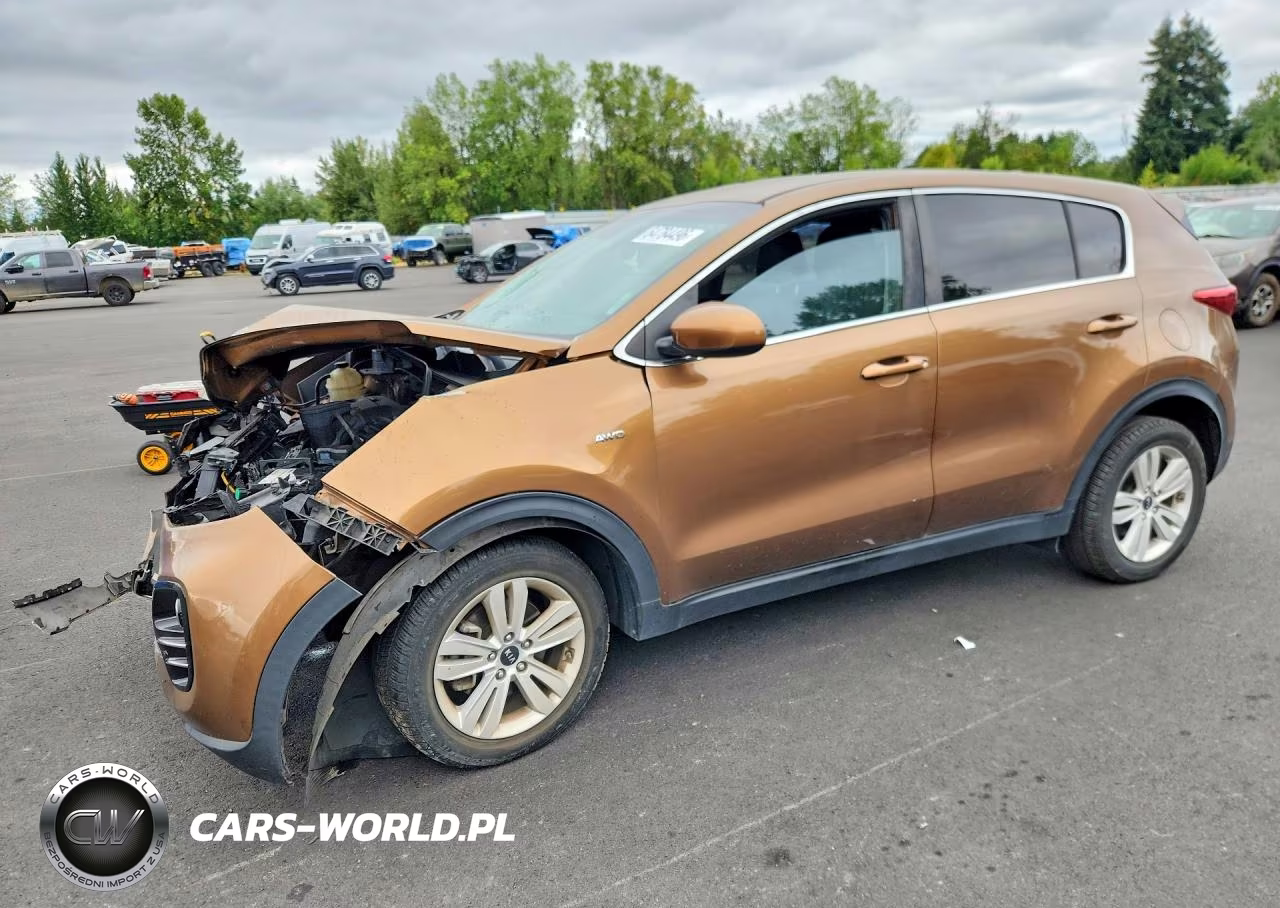 2017 Kia Sportage Lx VIN:KNDPMCAC3H7075808 - 1