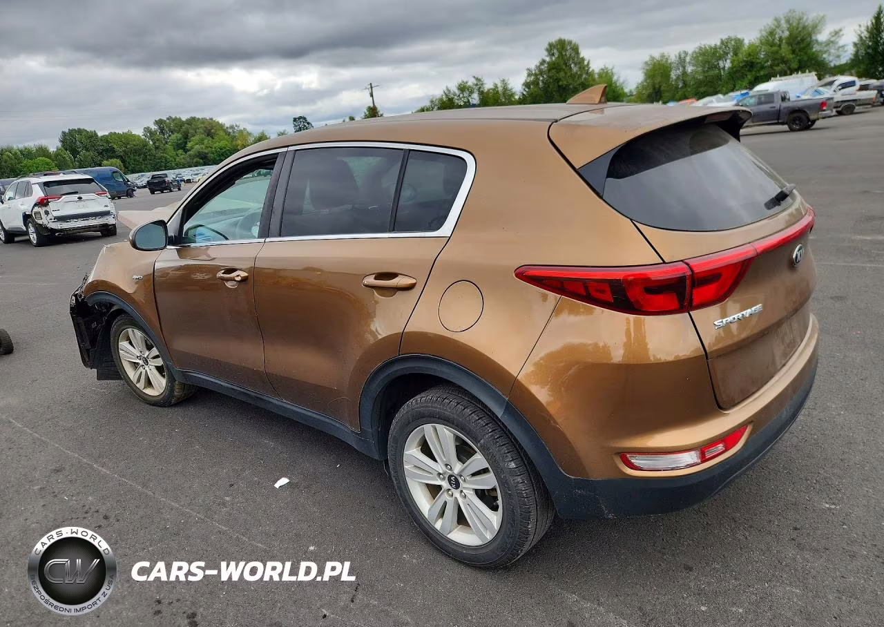 2017 Kia Sportage Lx VIN:KNDPMCAC3H7075808 - 2
