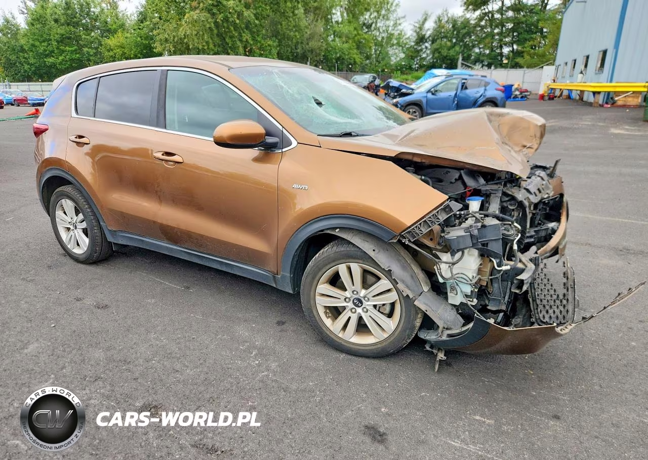 2017 Kia Sportage Lx VIN:KNDPMCAC3H7075808 - 4