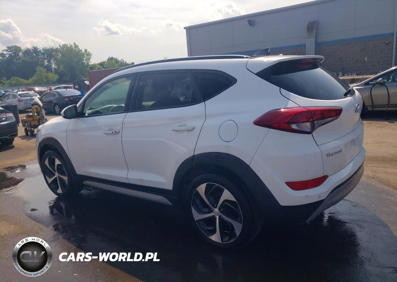 2018 Hyundai Tucson Value VIN:KM8J3CA20JU756849 - 2