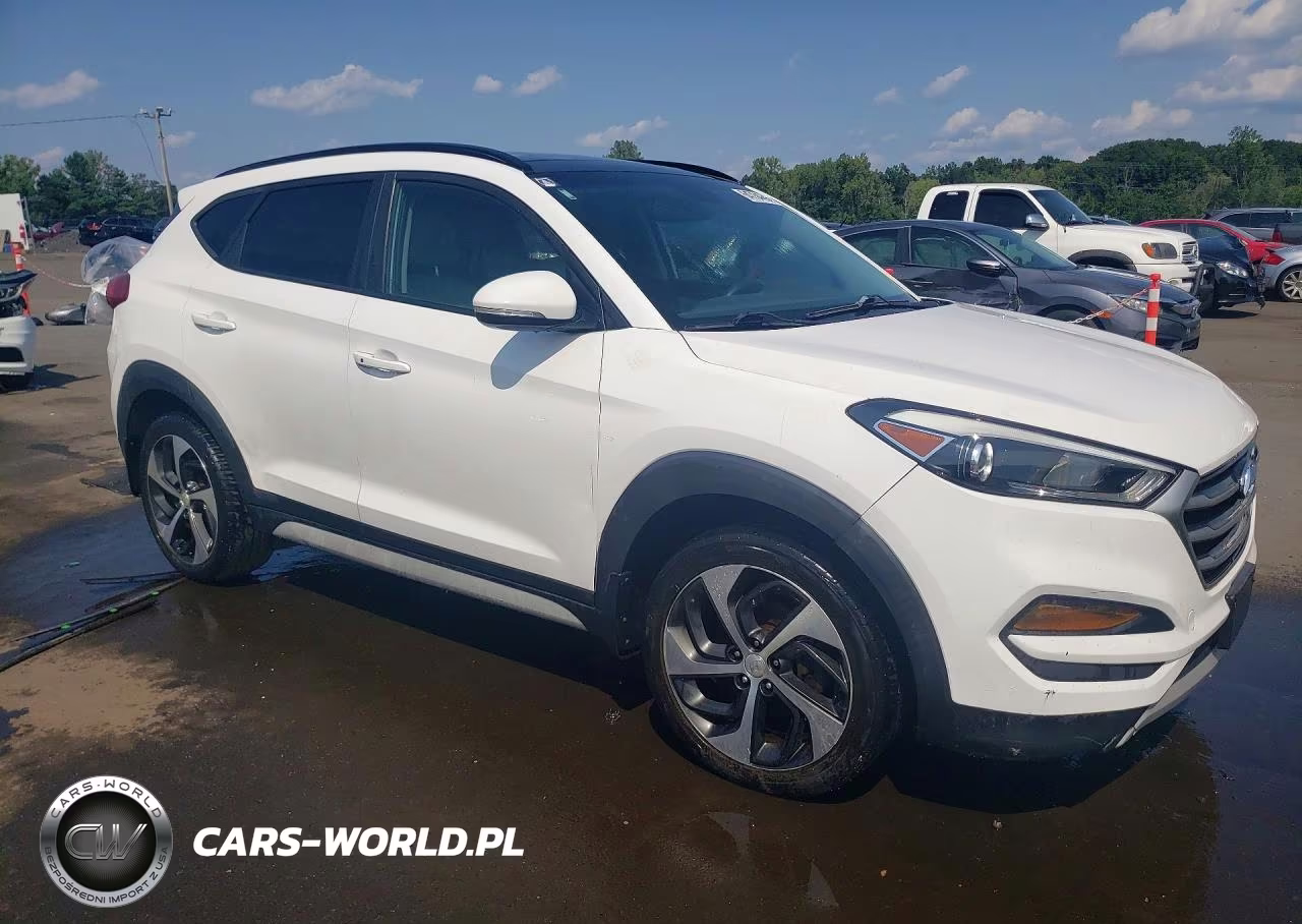 2018 Hyundai Tucson Value VIN:KM8J3CA20JU756849 - 4