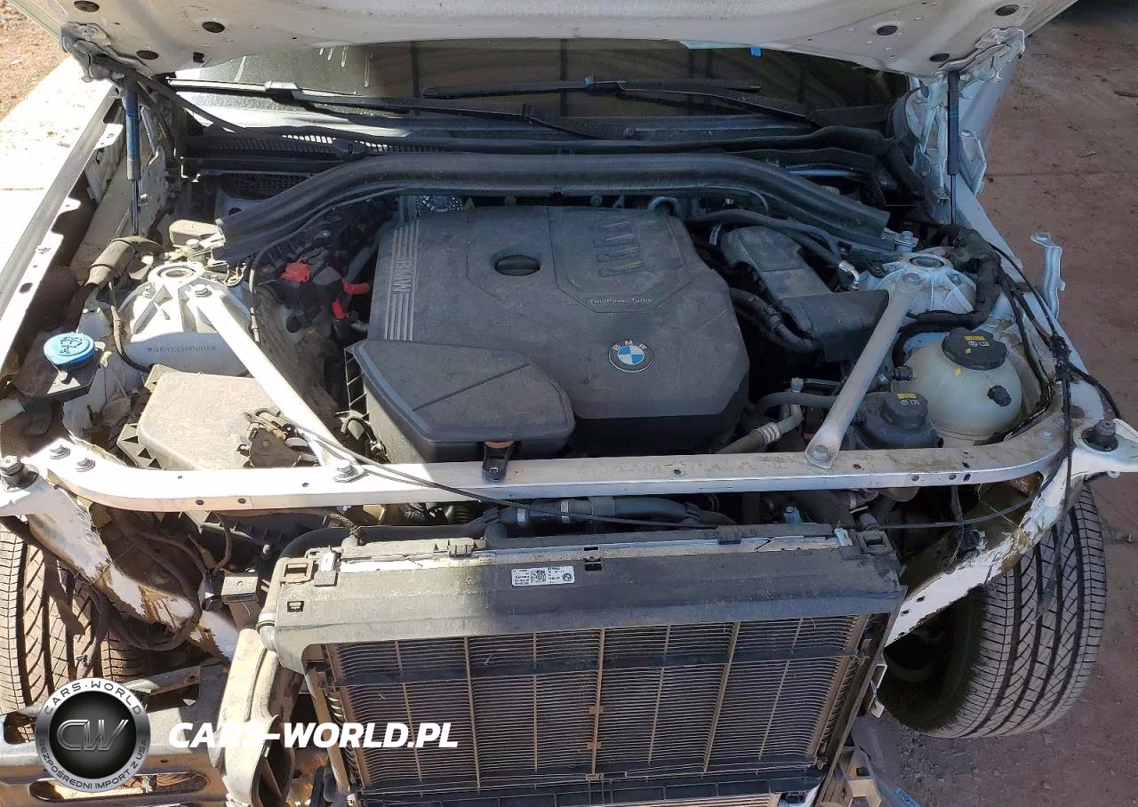 2021 BMW X3 Sdrive30I VIN:5UXTY3C03M9D90470 - 11