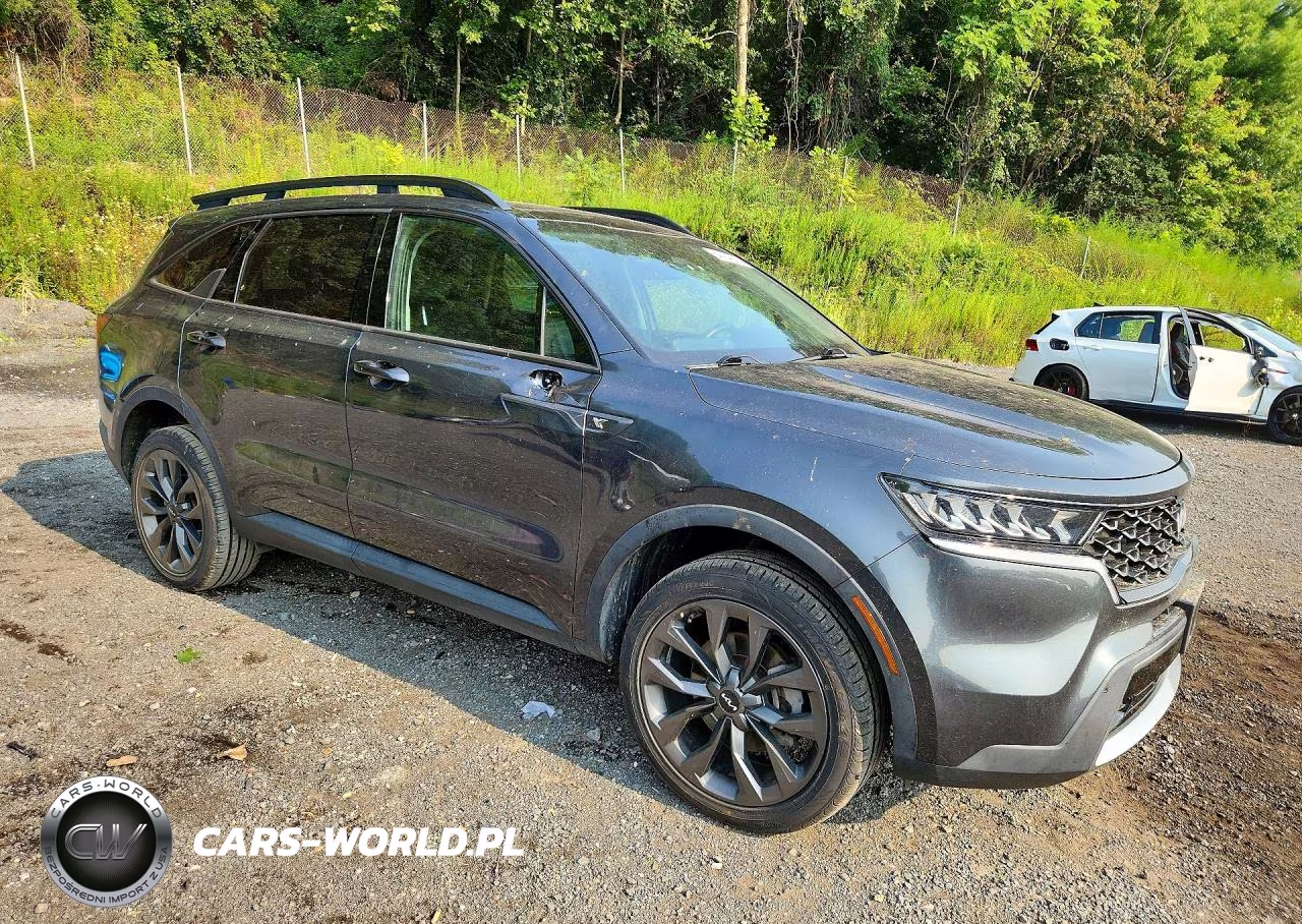 2022 Kia Sorento Ex VIN:5XYRHDLF3NG129505 - 4
