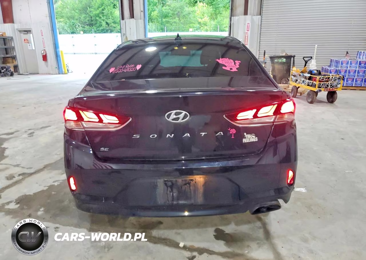 2019 Hyundai Sonata Se VIN:5NPE24AF3KH758141 - 6