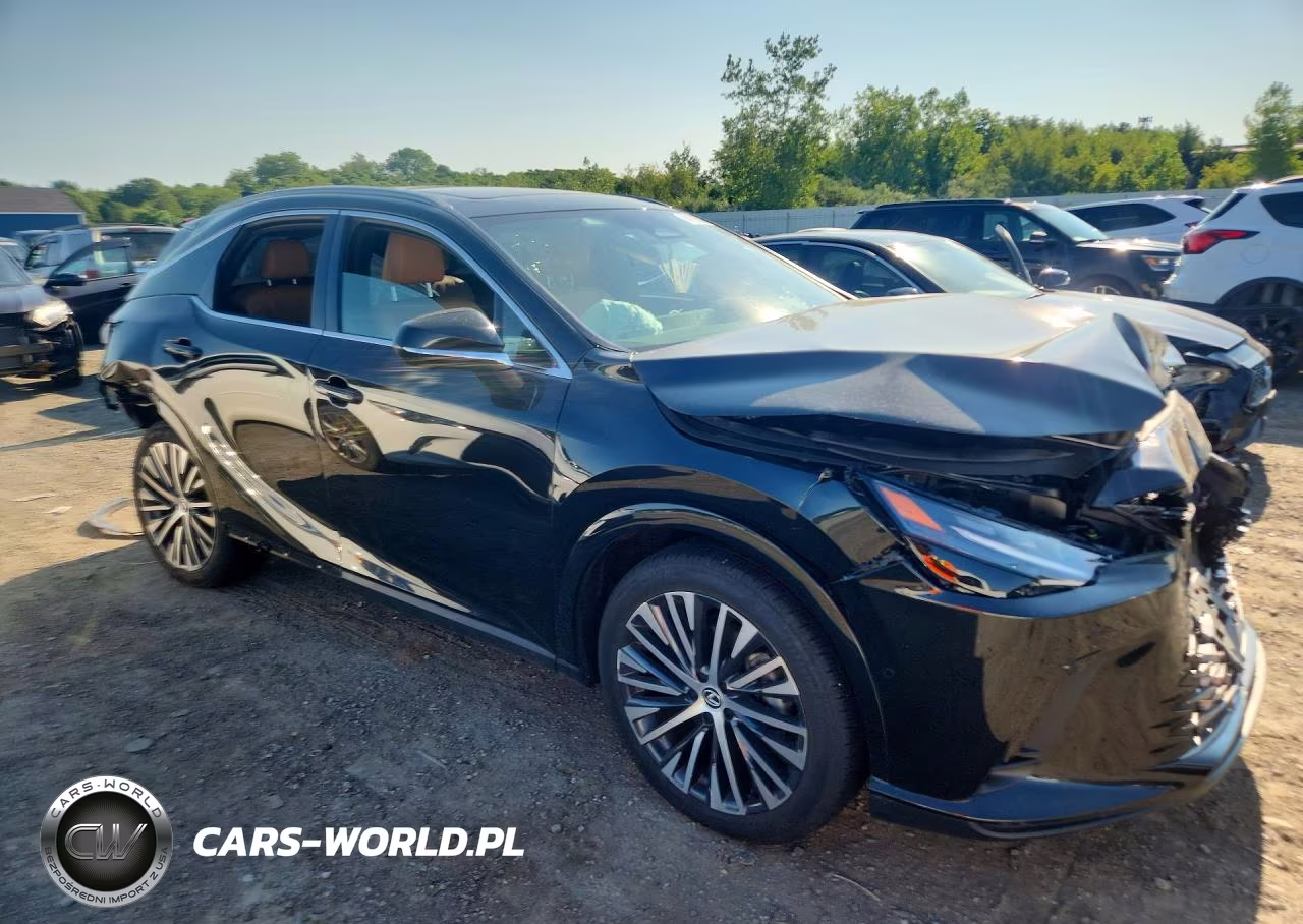 2023 Lexus Rx 350 Premium+ VIN:2T2BAMCA4PC022371 - 4