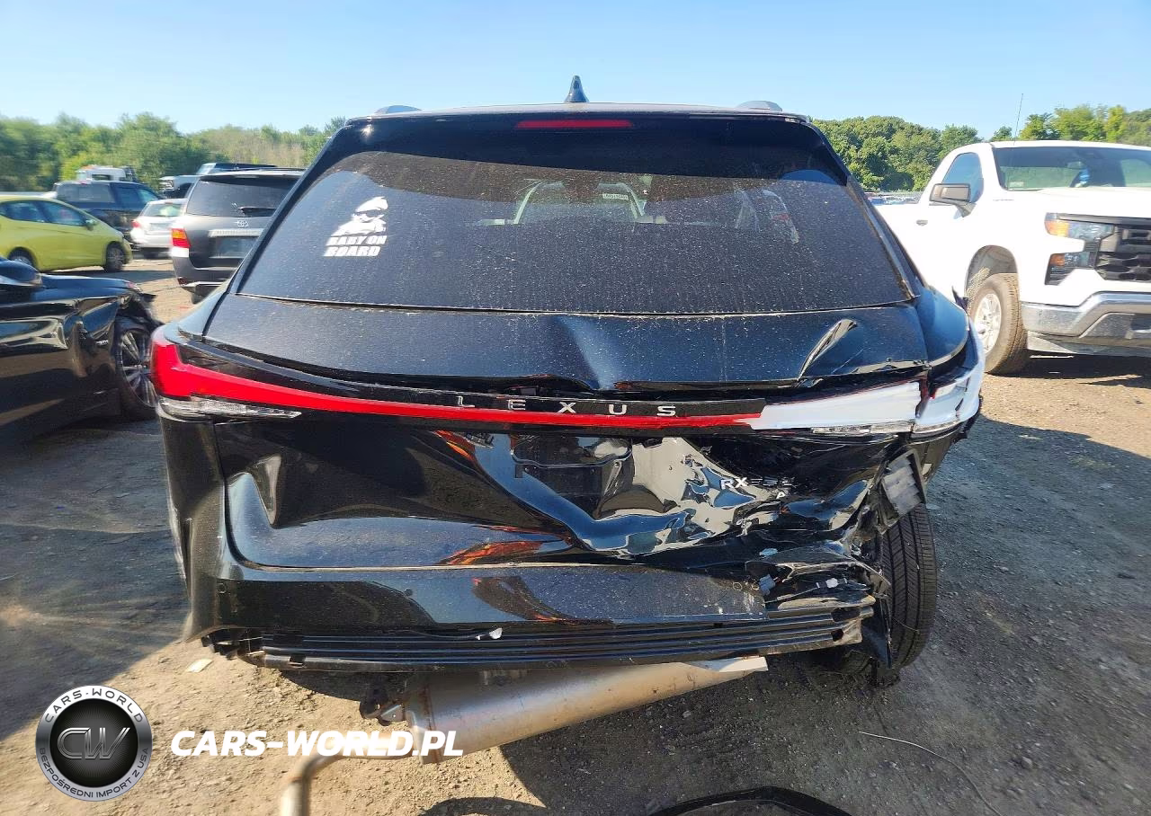 2023 Lexus Rx 350 Premium+ VIN:2T2BAMCA4PC022371 - 6