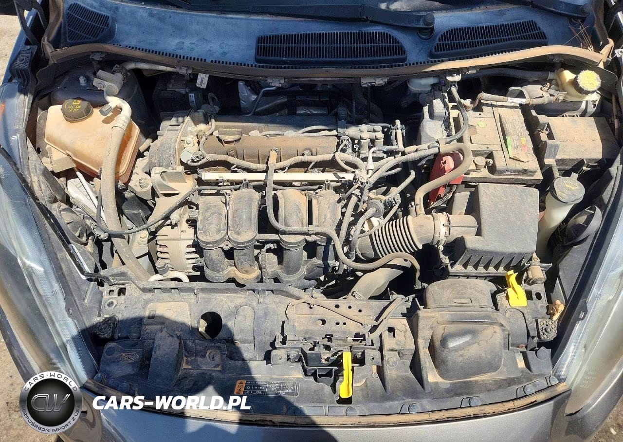 2014 Ford Fiesta Se VIN:3FADP4BJ9EM207359 - 11