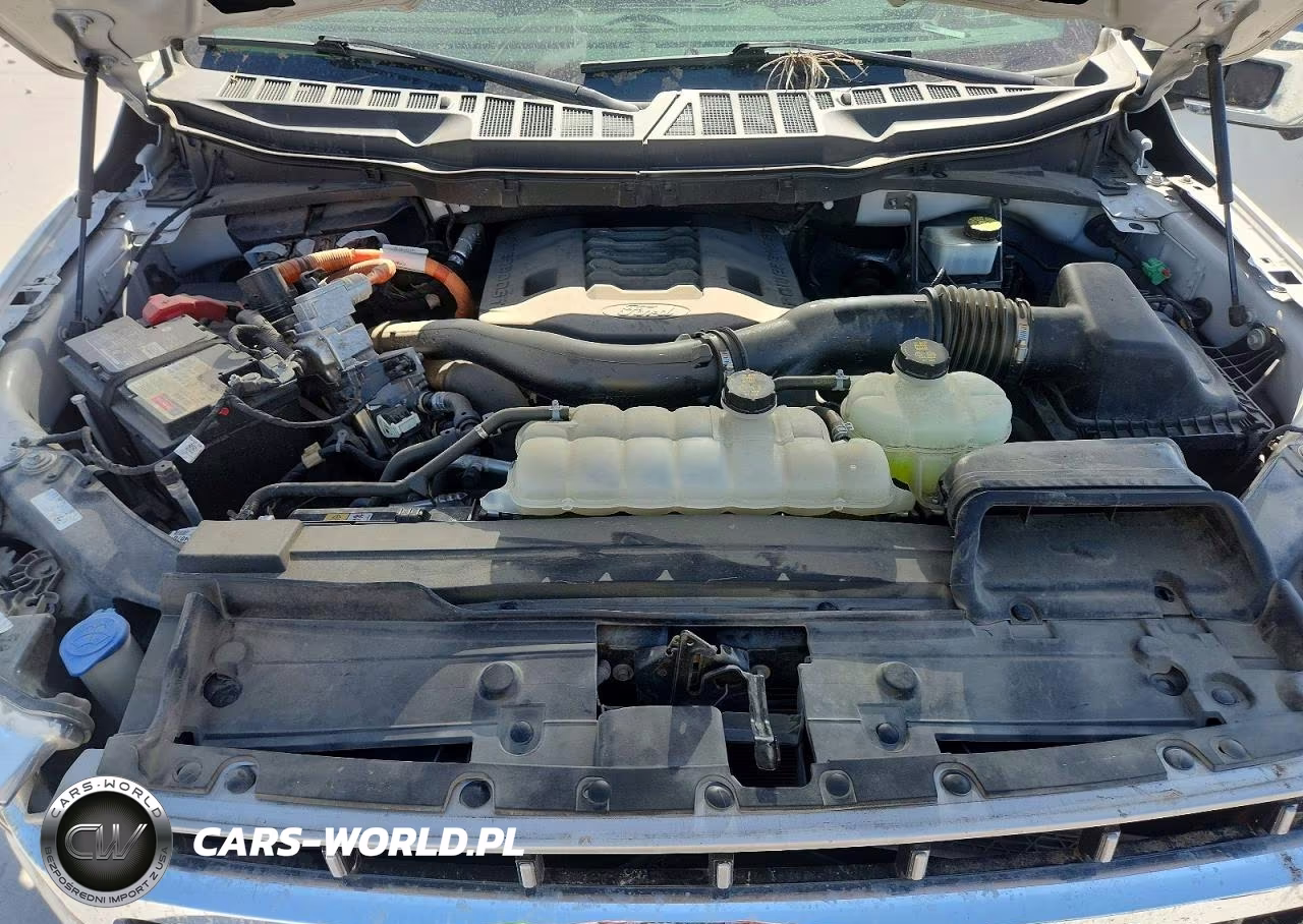 2023 Ford F150 Supercrew VIN:1FTFW1ED0PFC96106 - 11