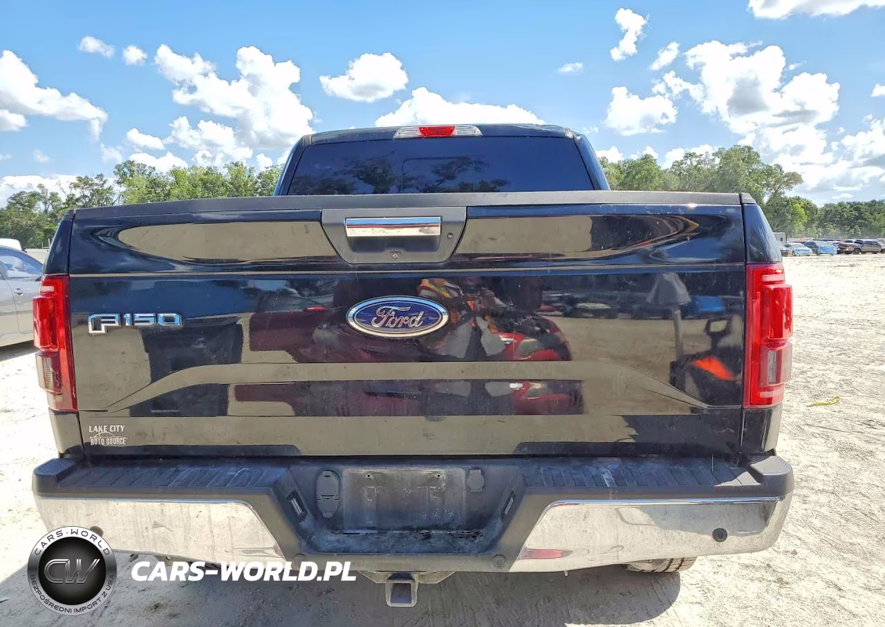 2017 Ford F150 Supercrew VIN:1FTEW1EP8HFA94377 - 6